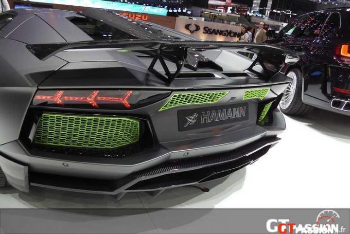 hamann6