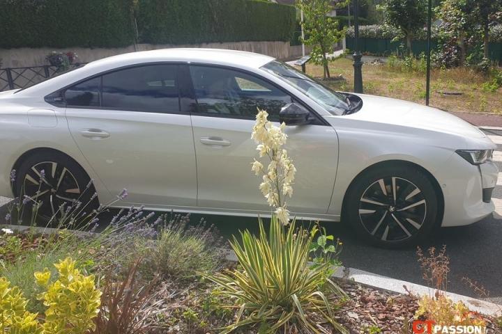 Peugeot 508 PHEV